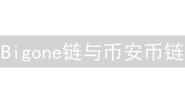 Bigone链与币安币链：架构、共识机制与性能对比分析