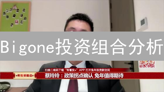 Bigone投资组合分析：风险与机遇并存的加密货币航程