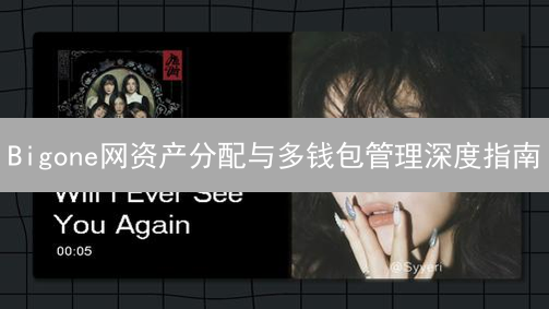 Bigone网资产分配与多钱包管理深度指南