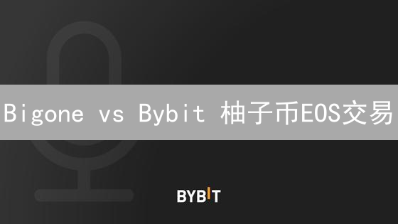 Bigone vs Bybit 柚子币EOS交易：2024 最新对比分析指南，选哪个更划算？