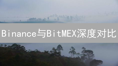 Binance与BitMEX深度对比：合约交易平台选择指南