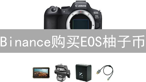 Binance购买EOS柚子币：存储、安全与使用建议