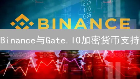 Binance与Gate.IO加密货币支持：数字资产投资指南