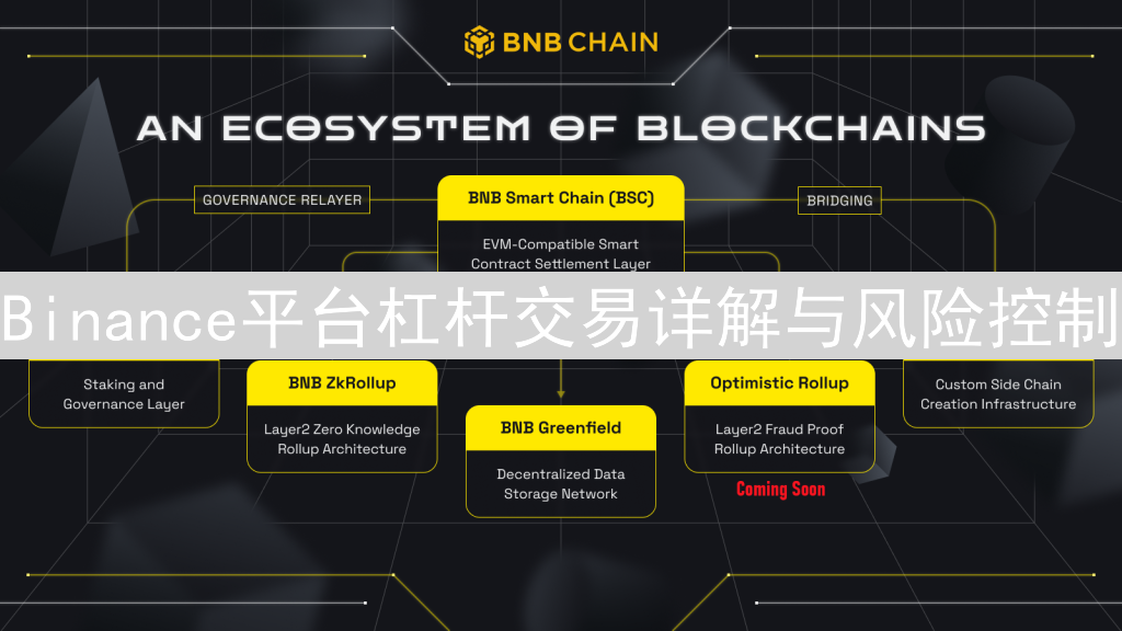 Binance平台杠杆交易详解与风险控制