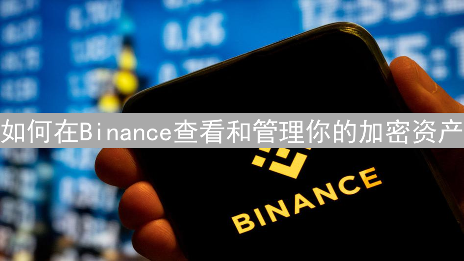 如何在Binance查看和管理你的加密资产
