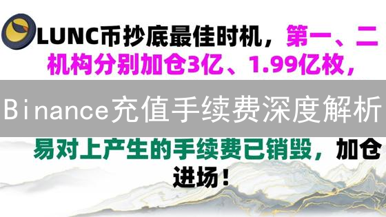 Binance充值手续费深度解析：省钱攻略与注意事项