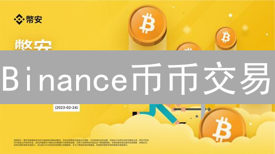 Binance币币交易：构建你的加密货币投资组合指南