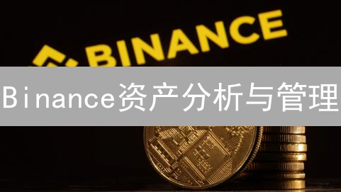 Binance资产分析与管理：保障资金安全的策略