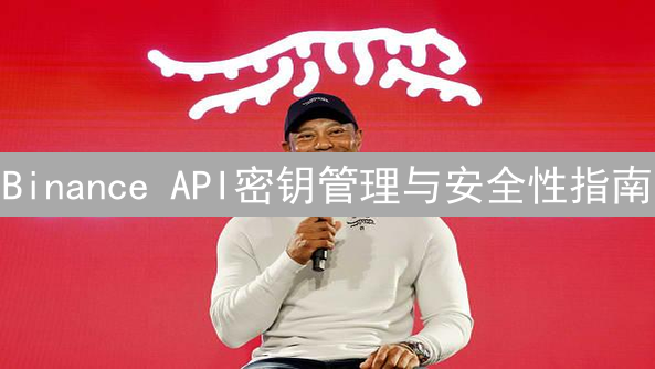 Binance API密钥管理与安全性指南