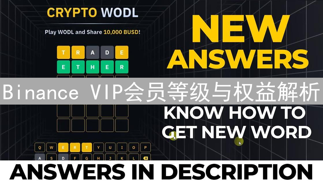 Binance VIP会员等级与权益解析