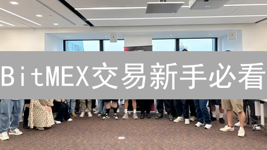 BitMEX交易新手必看：策略、风险与API实战教程！