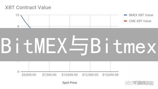 BitMEX与Bitmex：一字之差，谬以千里？加密货币交易所的品牌迷思