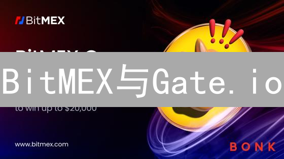 BitMEX与Gate.io：身份认证流程解析及用户考量