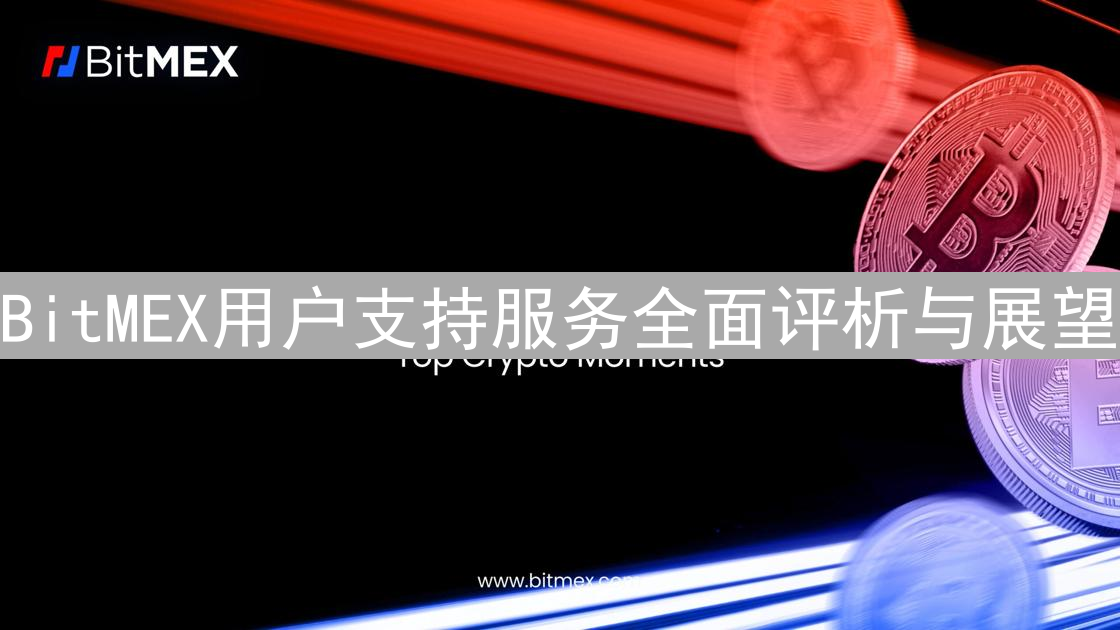 BitMEX用户支持服务全面评析与展望