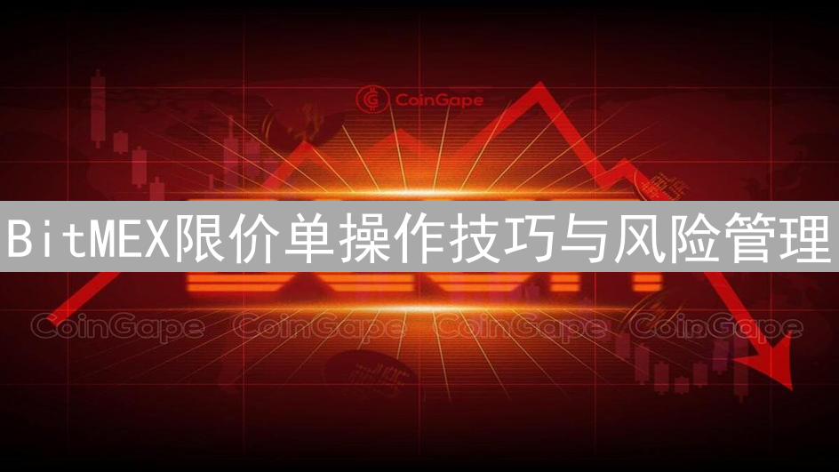BitMEX限价单操作技巧与风险管理