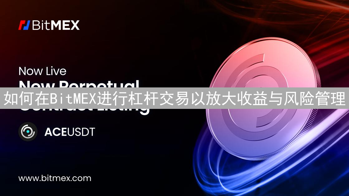 如何在BitMEX进行杠杆交易以放大收益与风险管理