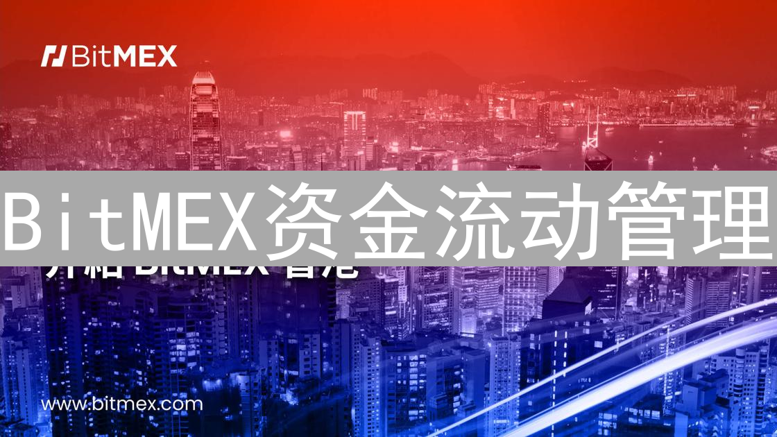 BitMEX资金流动管理：数字资产交响乐与风险控制