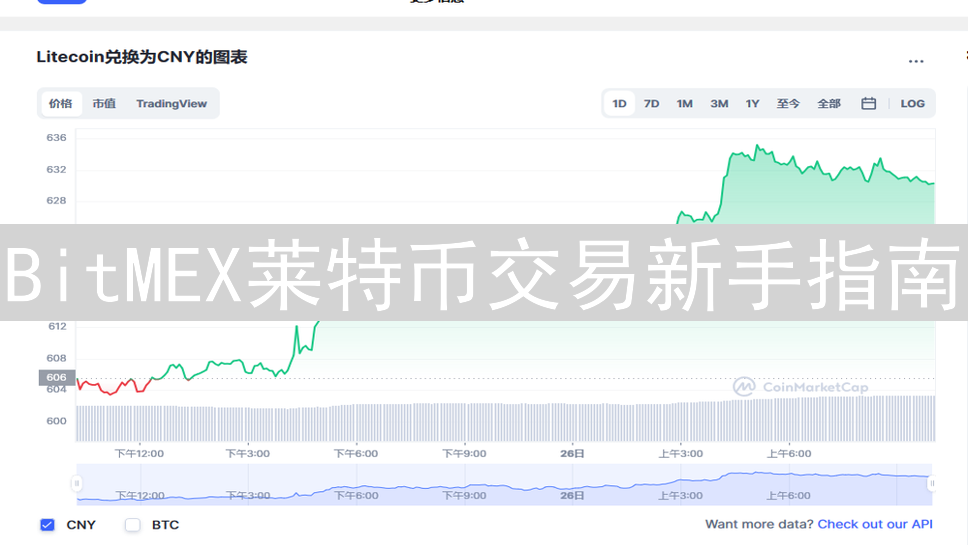 BitMEX莱特币交易新手指南：账户设置、充值与交易界面详解