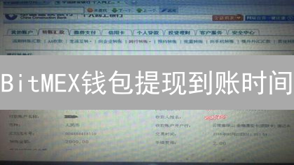 BitMEX钱包提现到账时间：影响因素与预期时间全面指南