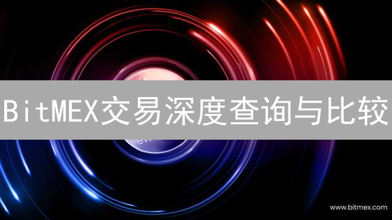 BitMEX交易深度查询与比较：市场流动性分析指南