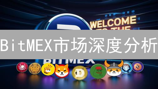 BitMEX市场深度分析：流动性与交易策略