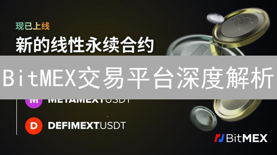 BitMEX交易平台深度解析：功能、优势与风险