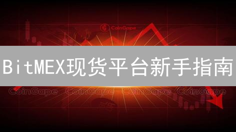 BitMEX现货平台新手指南：注册、充值与交易详解
