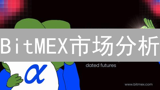 BitMEX市场分析：查询指南与交易策略优化