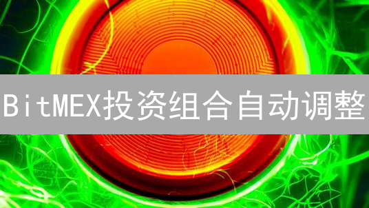 BitMEX投资组合自动调整：策略、实践与风险分析