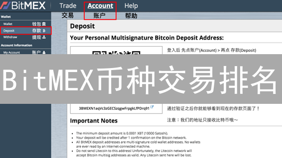 BitMEX币种交易排名：市场动态与机遇