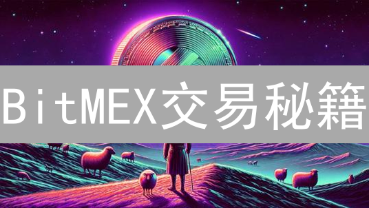 BitMEX交易秘籍：支持哪些币种？如何玩转高杠杆？