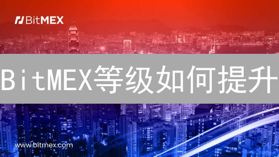 BitMEX等级如何提升？手续费、提款额度全攻略！