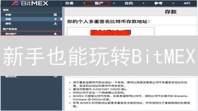 新手也能玩转BitMEX？注册开户与合约交易风险全解析！