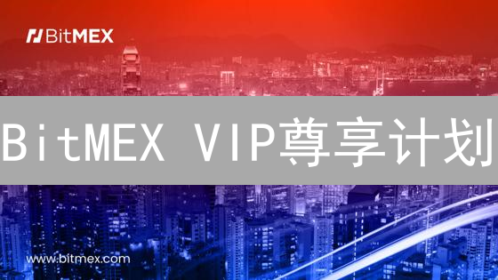 BitMEX VIP尊享计划：解锁高效交易与卓越成就