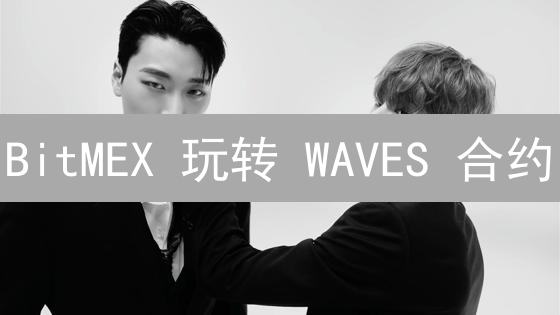 BitMEX 玩转 WAVES 合约？新手必看！【图文教程】