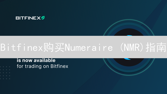 Bitfinex购买Numeraire (NMR)指南：渠道、方法与注意事项
