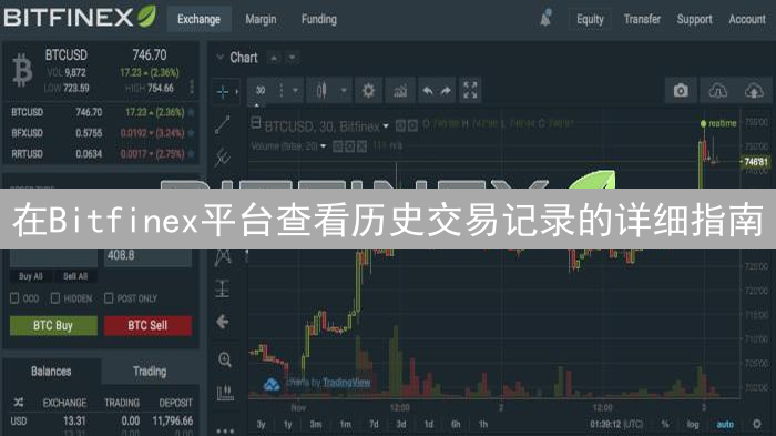 在Bitfinex平台查看历史交易记录的详细指南