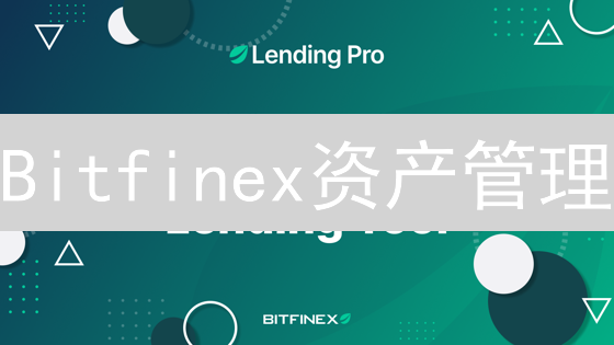 Bitfinex资产管理：风险与机遇并存的策略分析