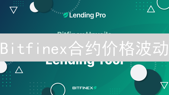 Bitfinex合约价格波动：永不停歇的数字风暴