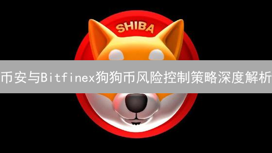 币安与Bitfinex狗狗币风险控制策略深度解析
