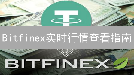 Bitfinex实时行情查看指南：掌握数据，优化交易决策