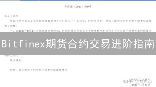 Bitfinex期货合约交易进阶指南：玩转杠杆与对冲