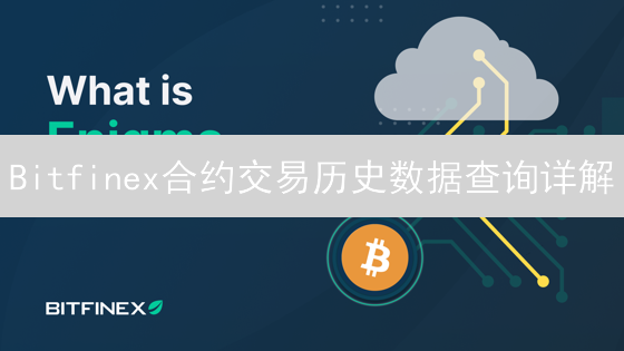 Bitfinex合约交易历史数据查询详解：技巧与步骤