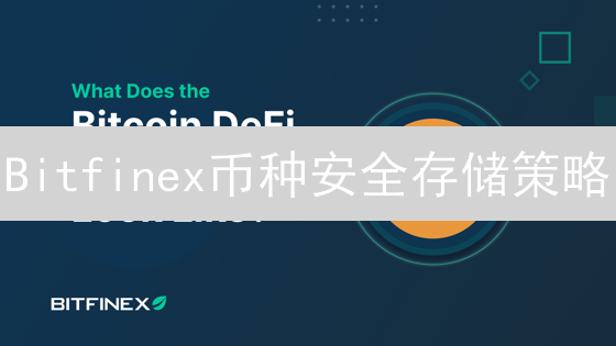 Bitfinex币种安全存储策略：深度分析与最佳实践建议