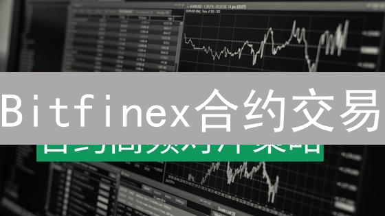 Bitfinex合约交易：进阶策略与风险控制指南
