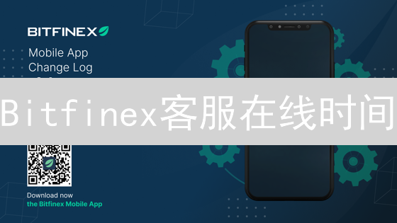 Bitfinex客服在线时间：解读数字资产交易支持力量