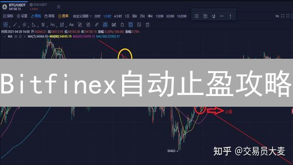 Bitfinex自动止盈攻略：轻松锁定利润，高效管理风险！