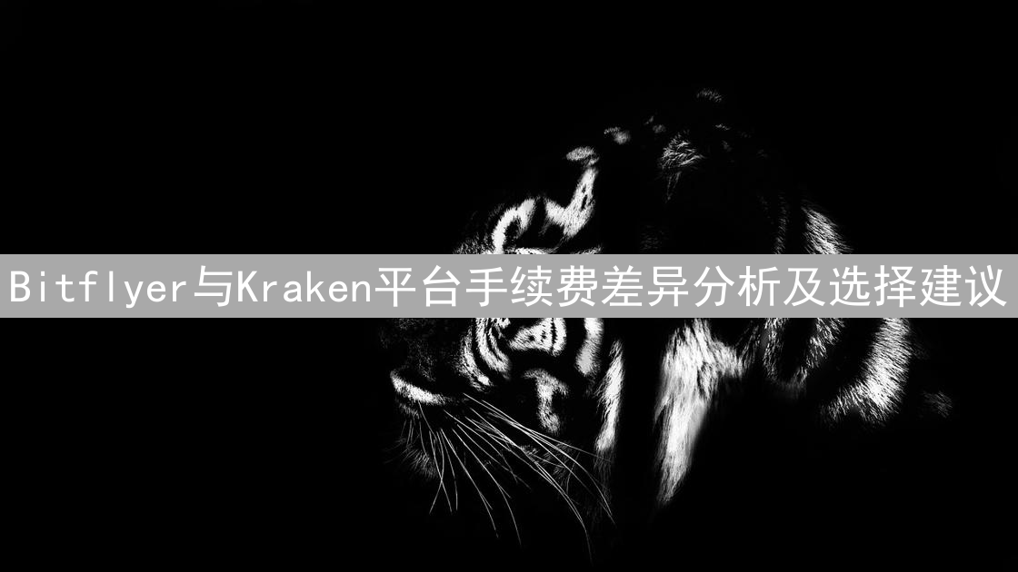 Bitflyer与Kraken平台手续费差异分析及选择建议