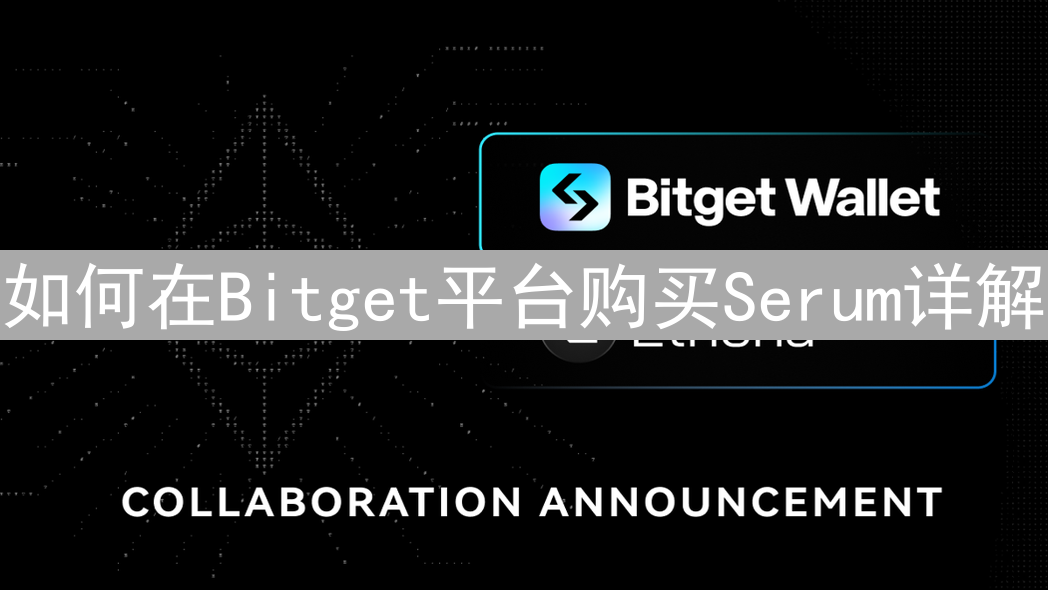 如何在Bitget平台购买Serum详解