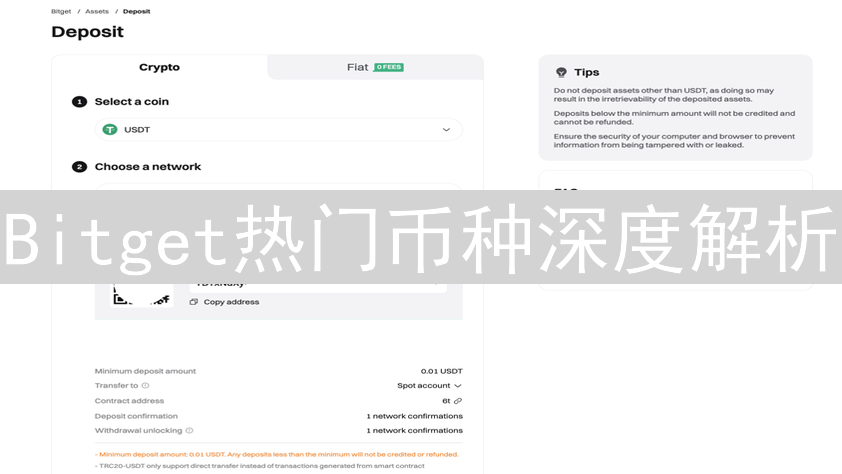 Bitget热门币种深度解析：用户偏好与市场趋势洞察